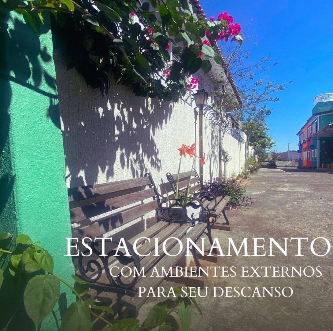 WhatsApp Image 2025-10-30 at 11.15.32 (2)